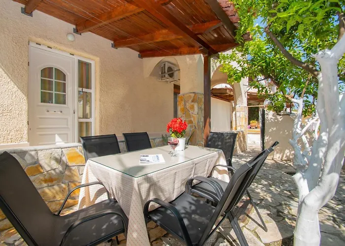 Lemon Tree By 