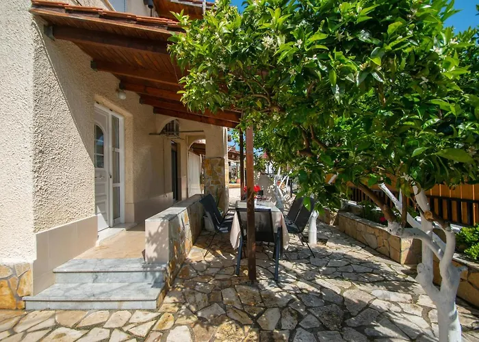 Lemon Tree By 
