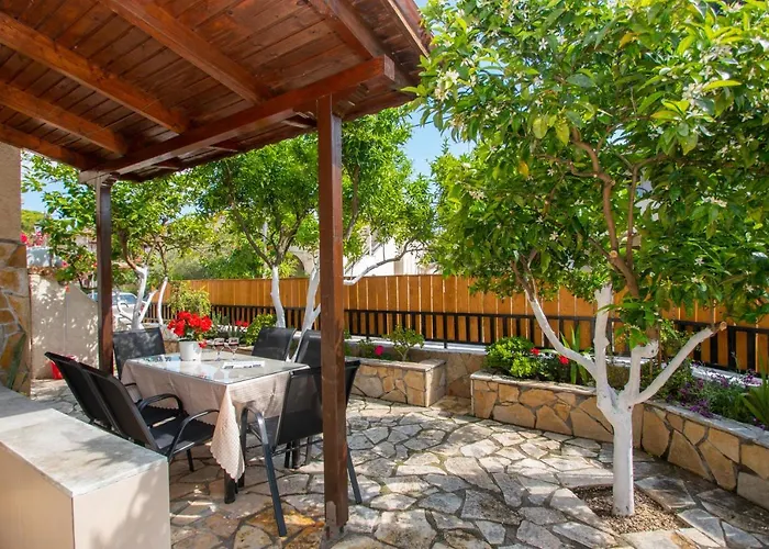 Lemon Tree By 