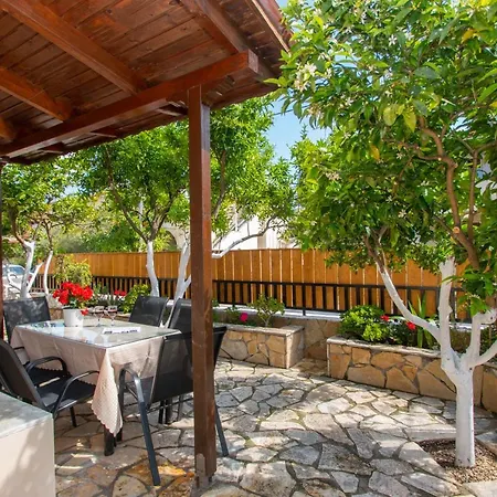 Lemon Tree By 