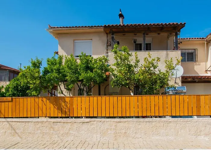 Lemon Tree By 