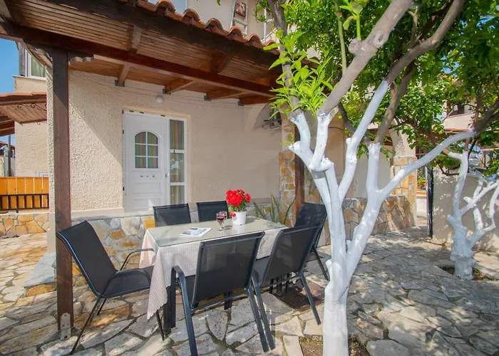 Lemon Tree By 