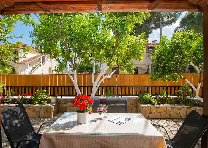 Lemon Tree By 