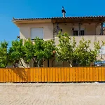 Lemon Tree By 