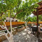 Lemon Tree By 