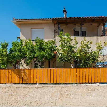 Lemon Tree By 