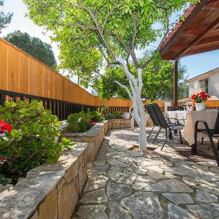 Lemon Tree By 