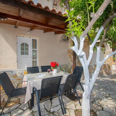 Lemon Tree By 