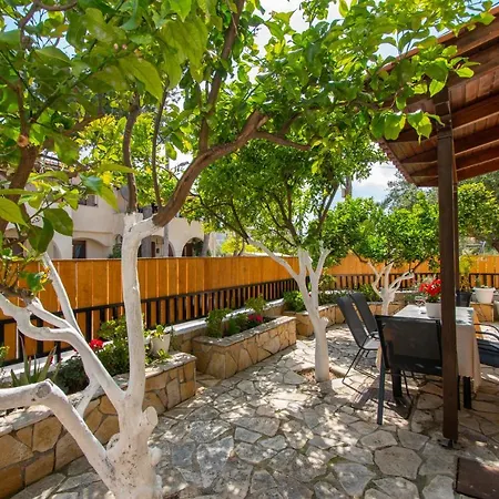 Lemon Tree By 